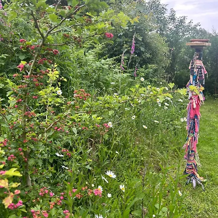 Gypsy Caravan Glamping Llanbedrog Extérieur photo